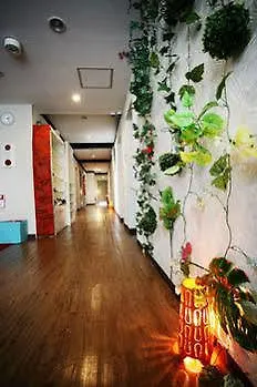 Guest house Oyo Hotel Hikari House Tokyo Japan